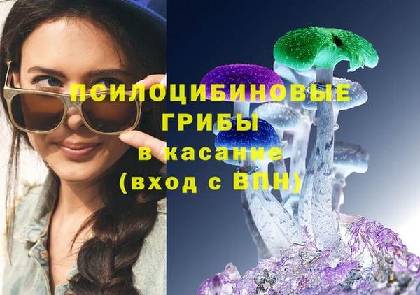 ГАЛЛЮЦИНОГЕННЫЕ ГРИБЫ Армянск