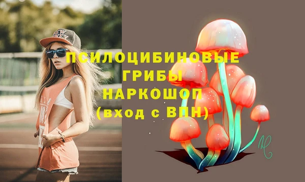 дмт Аркадак