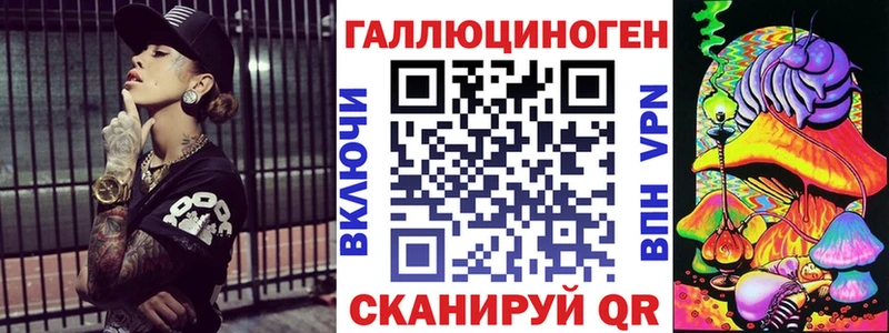 наркотики  Багратионовск  Псилоцибиновые грибы Psilocybine cubensis 